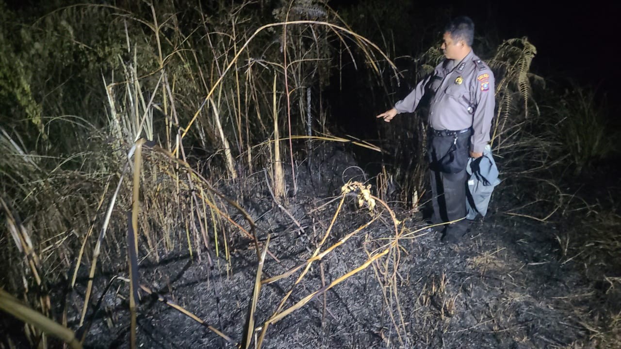 Kebakaran Perladangan Jeruk di Saribujandi Berhasil Dipadamkan oleh Personil Polsek Saribudolok