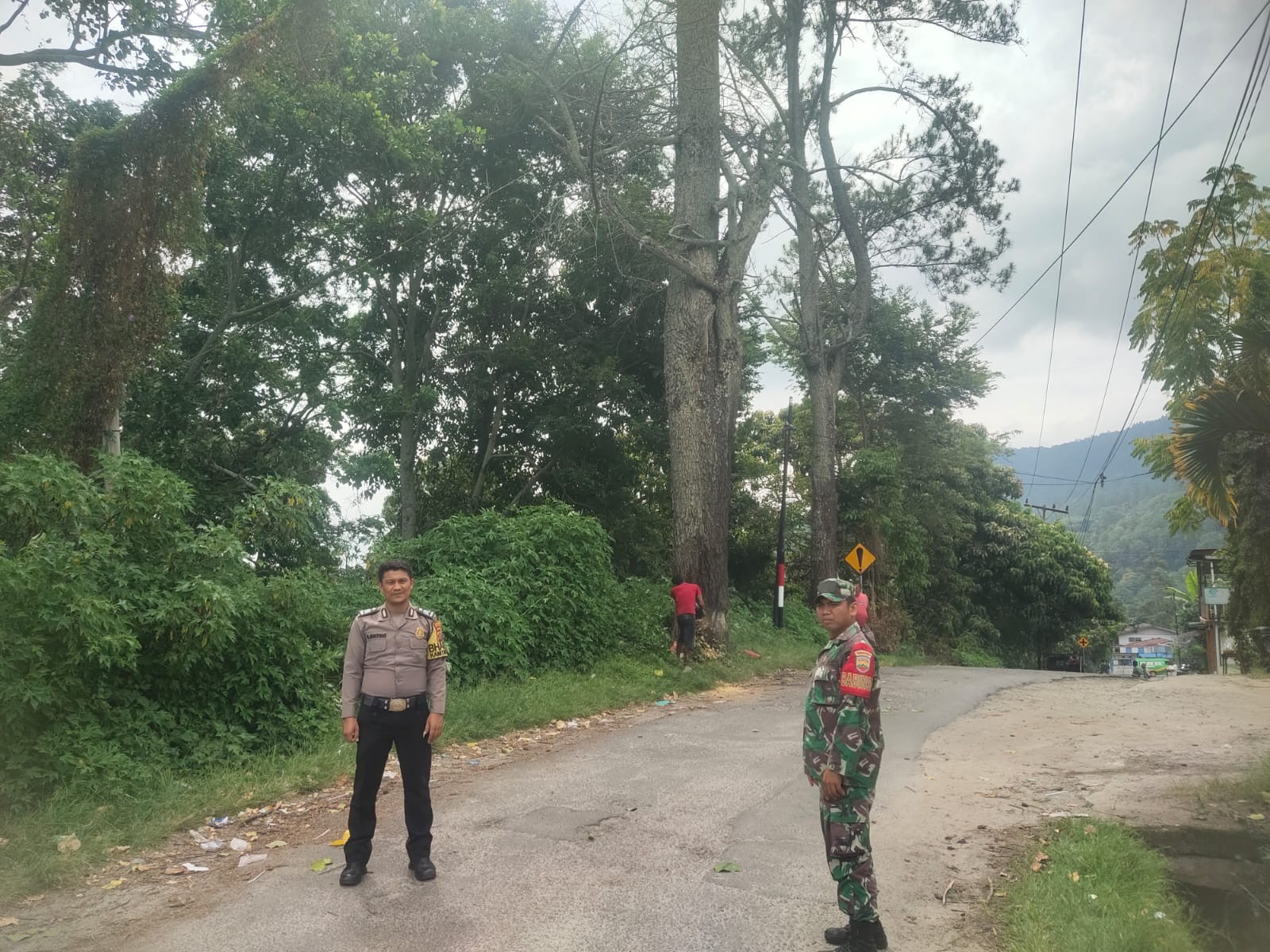 Polsek Parapat Dampingi Penebangan Pohon Pinus di Jalan Pendidikan, Parapat