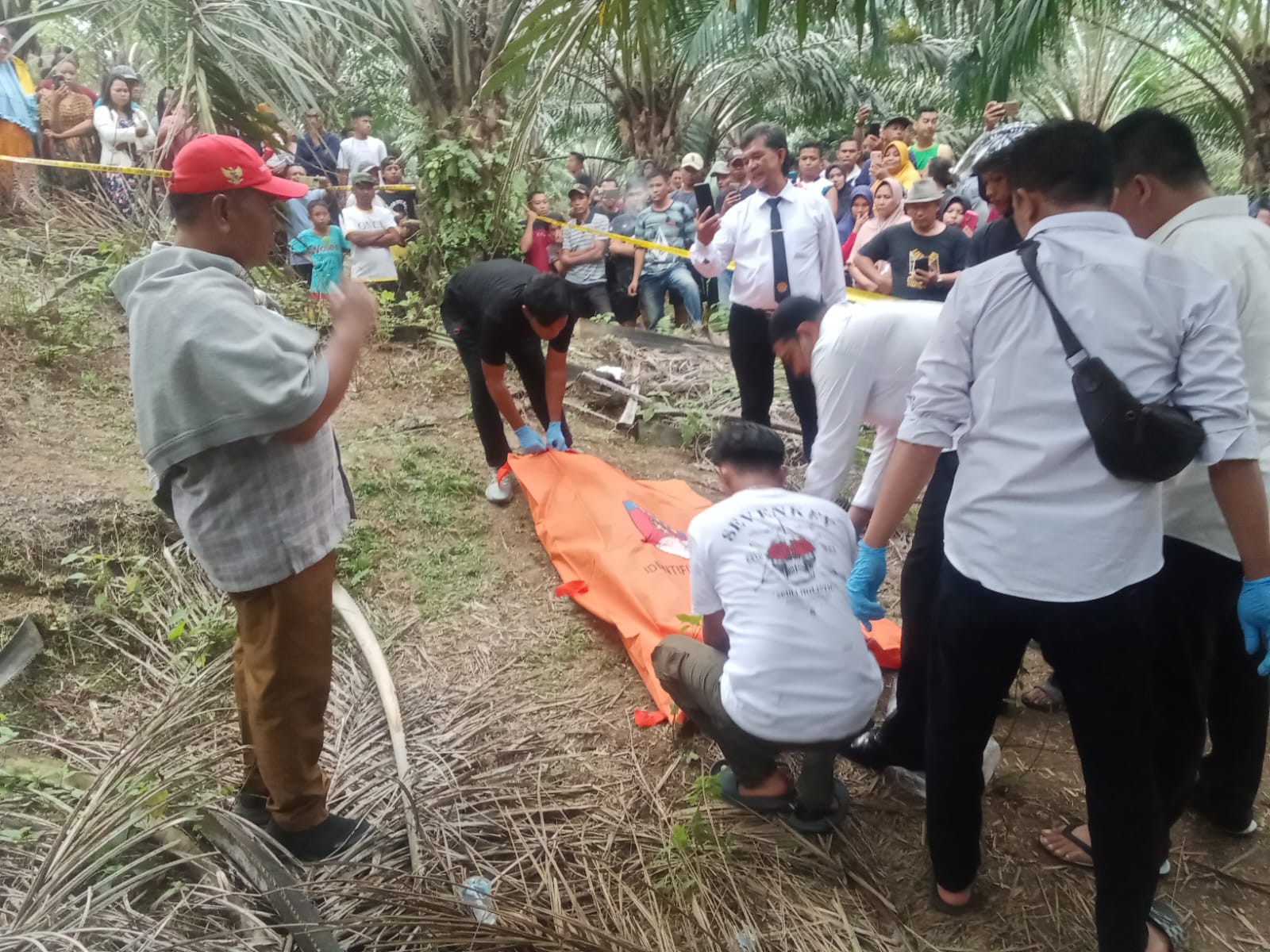 Polsek Bangun dan Tim Inafis Polres Simalungun Evakuasi Temuan Mayat di Perkebunan Sawit Kebun Laras